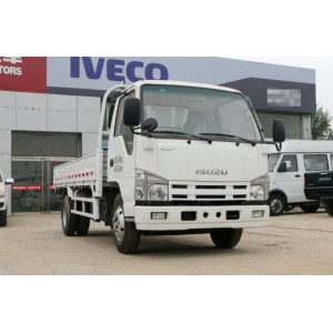 ISUZU 4X2 Flatbed Truck 100p